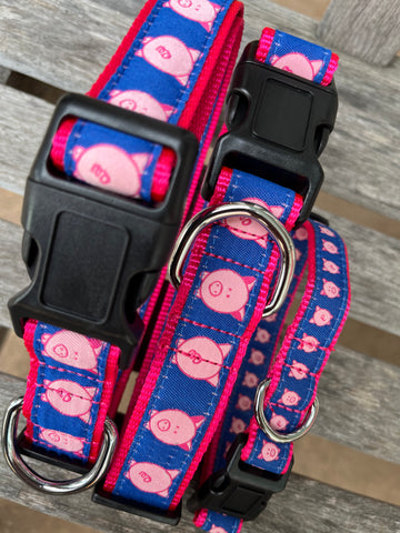 Piggy Collar or Leash