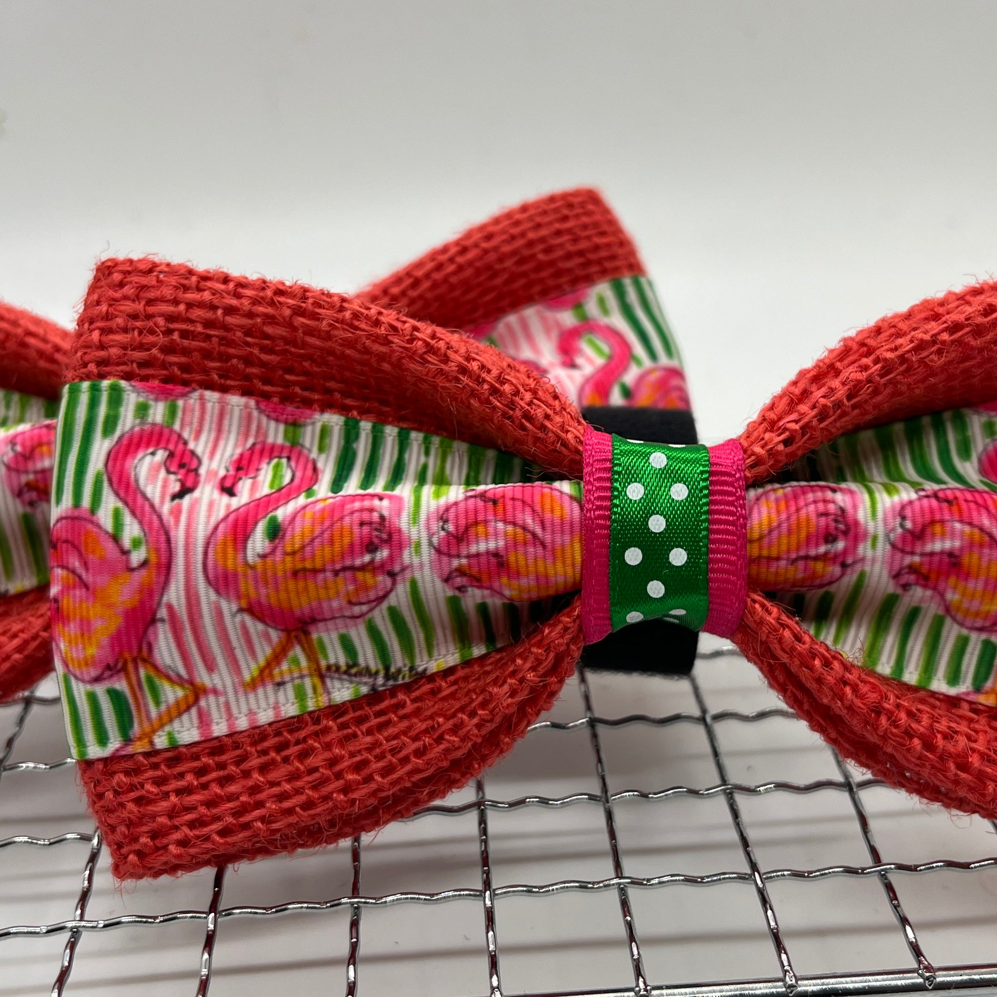 Paw-mingo Bow Tie